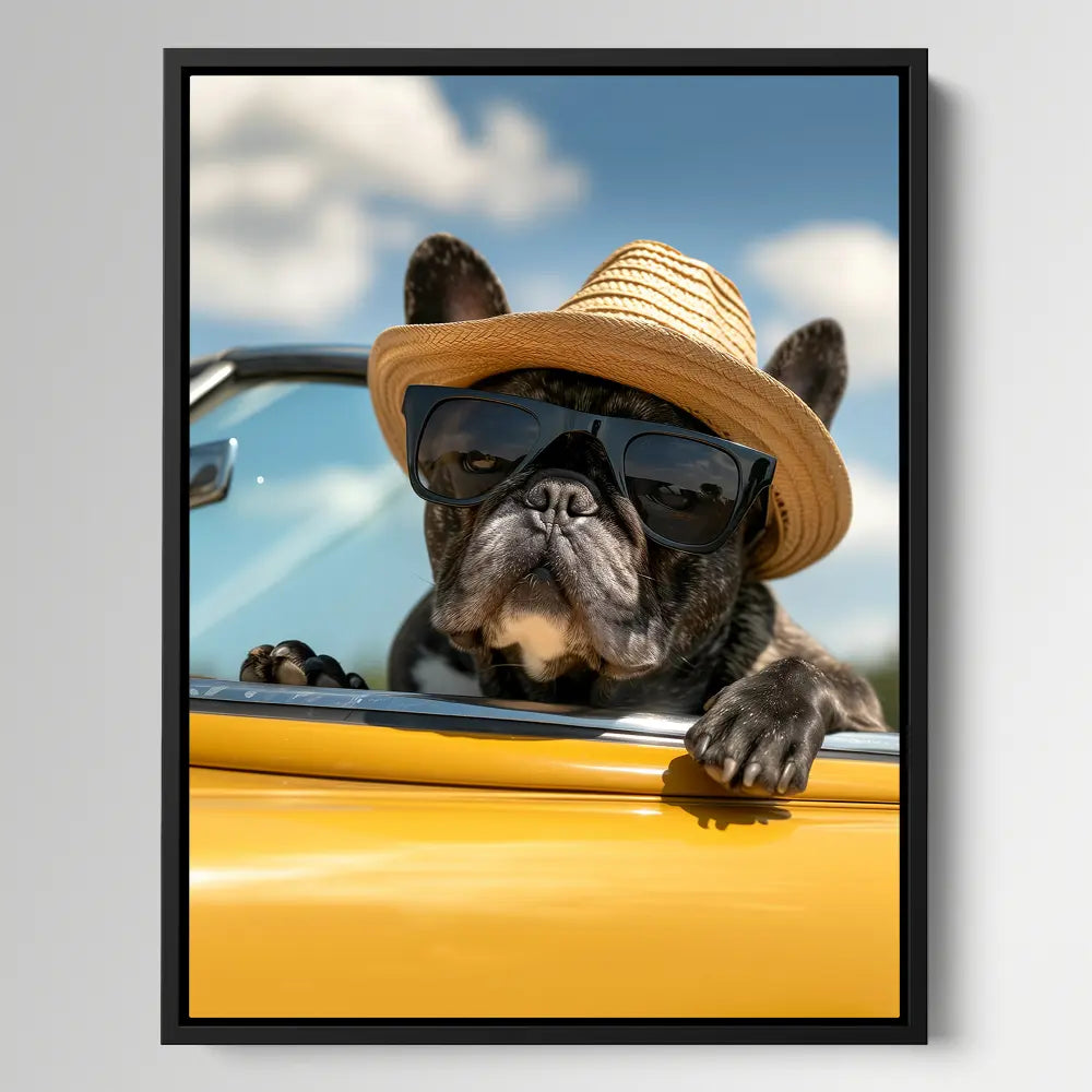 Cool French Bulldog