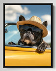 Cool French Bulldog