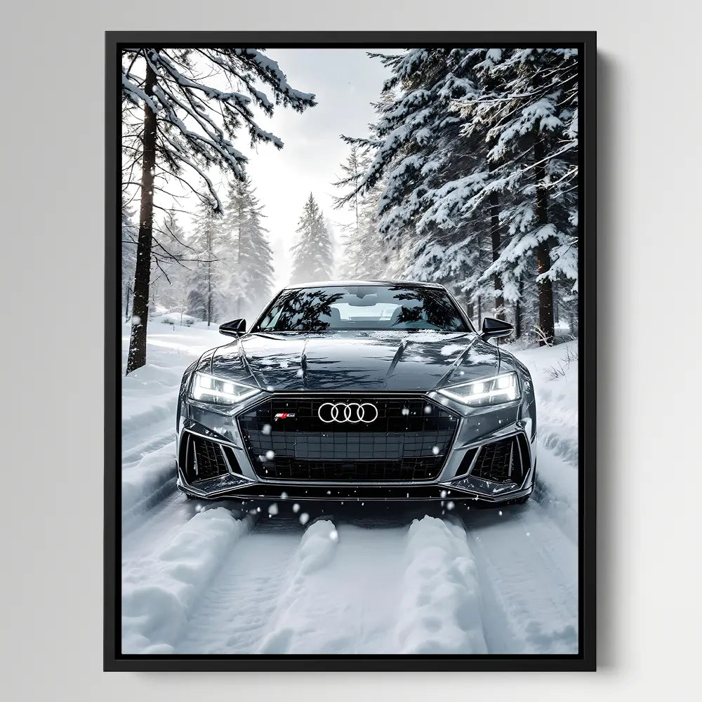 Crystal Audi Snow