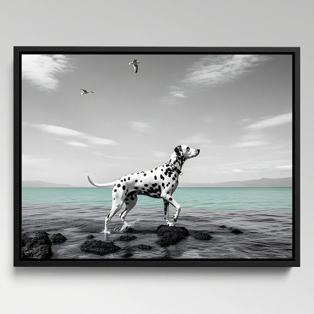 Dalmatian Water