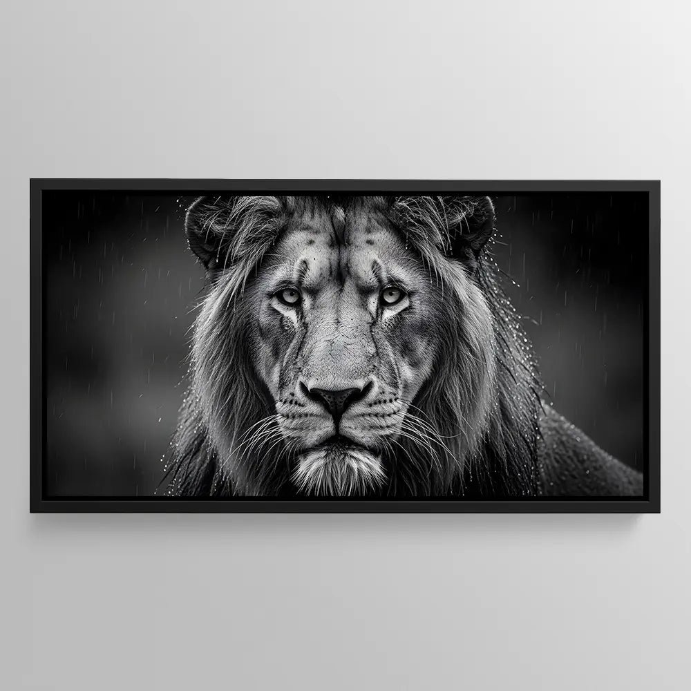 Dark Lion Rain