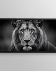 Dark Lion Rain