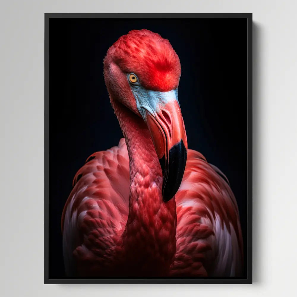 Flamingo Black Portrait