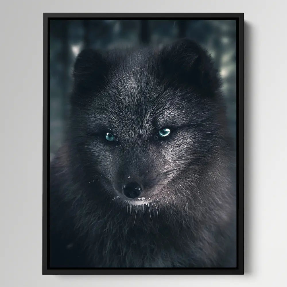 Fox Black