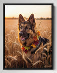 German Shepherd Wheat