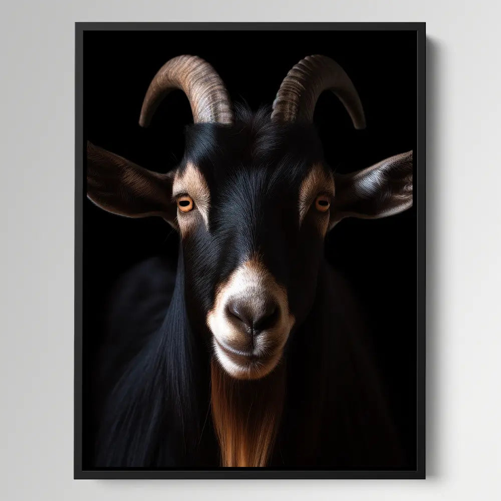 Goat Black Portrait
