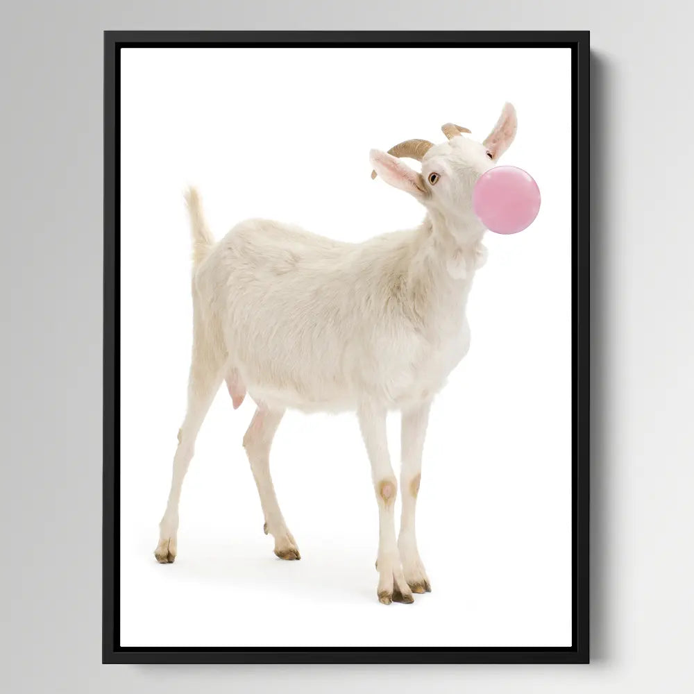 Goat Bubblegum