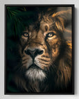 Jungle Lion