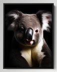 Koala Black Portrait