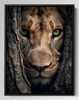 Lioness Hiding