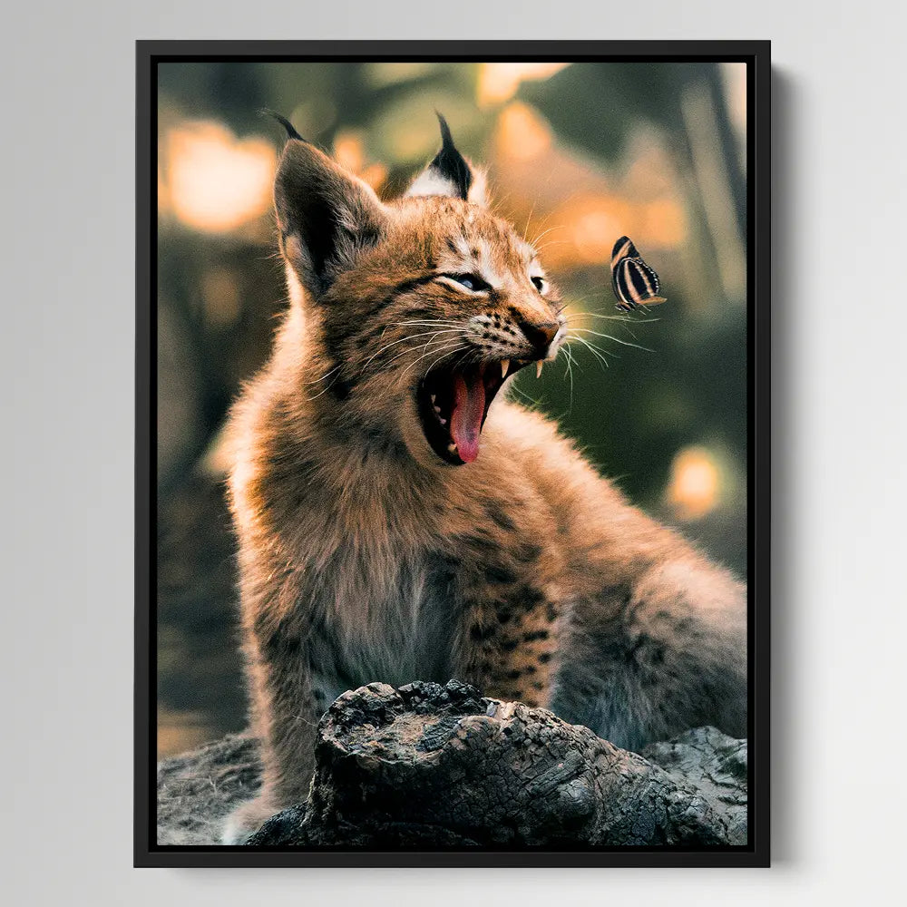 Lynx Cub Butterfly