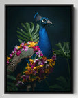 Peacock Flowers