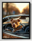 Pitbull Car