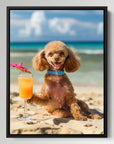 Poodle Beach