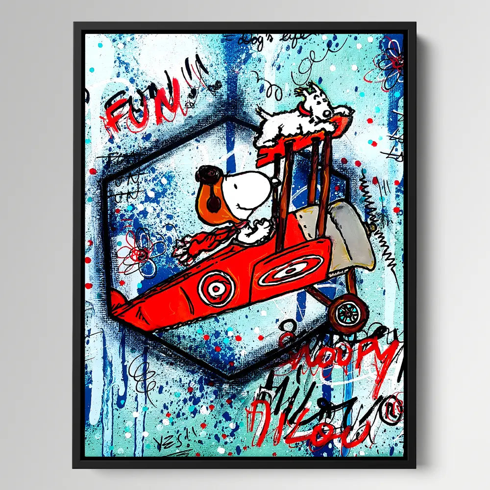 Snoopy Plane