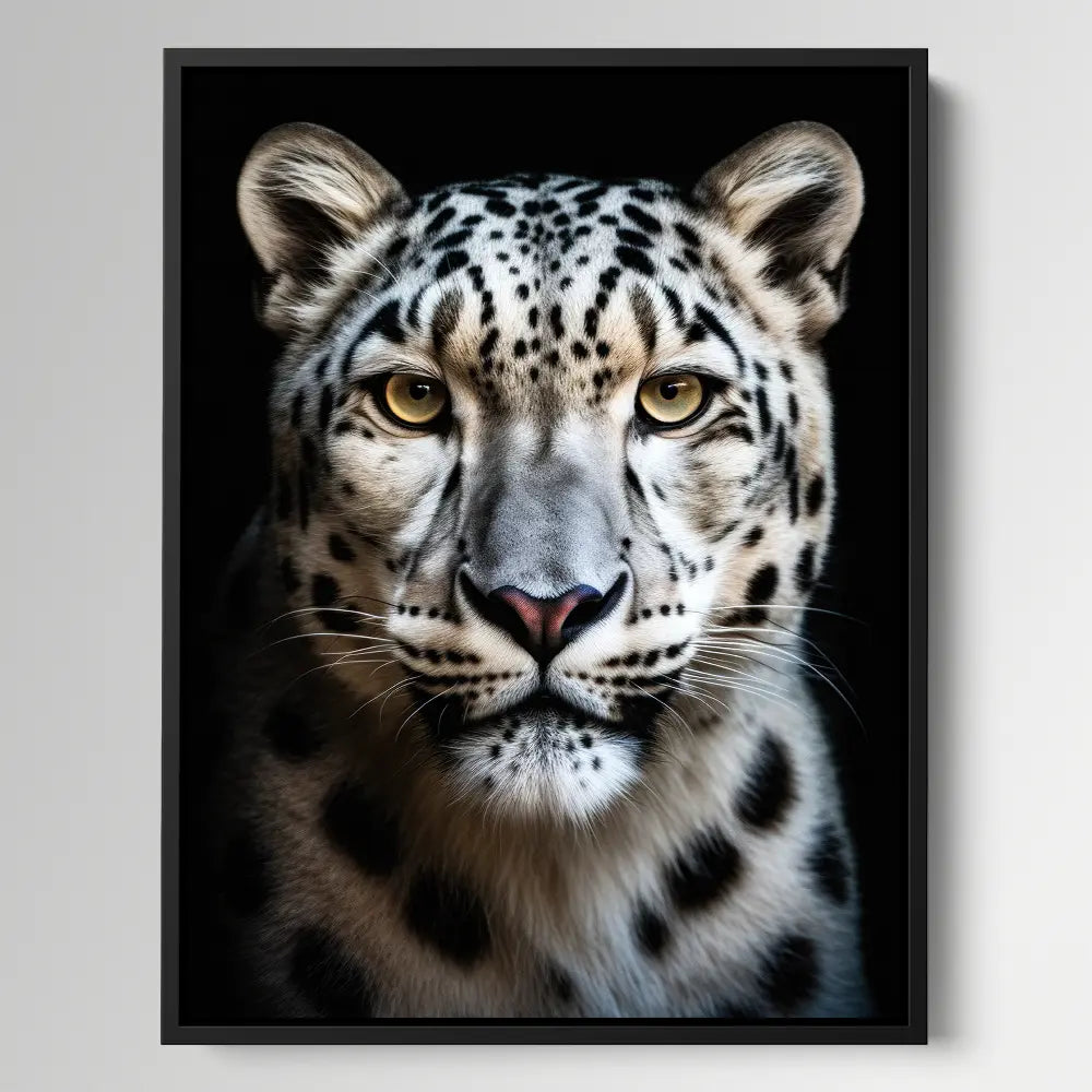 Snow Leopard Black Portrait
