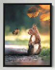 Squirrel Butterfly