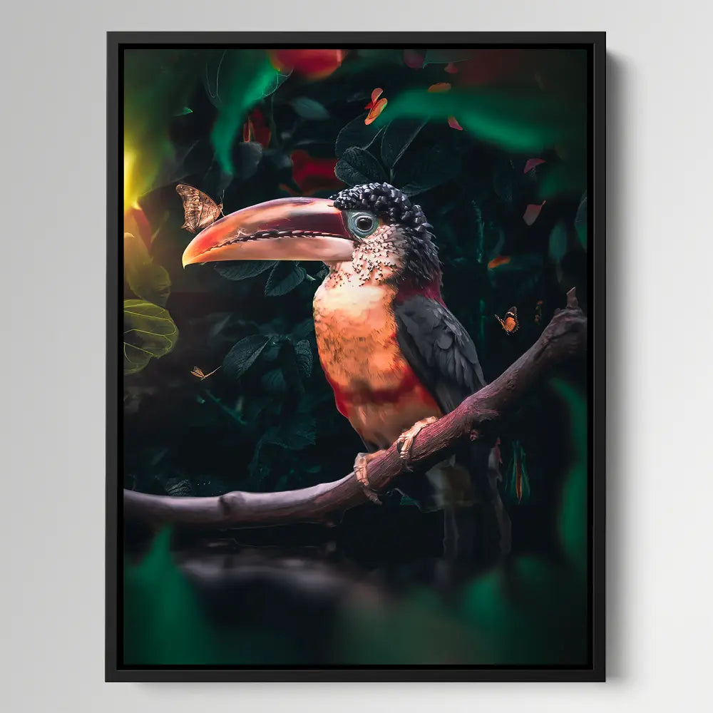 Toucan Butterfly