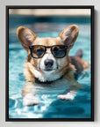 Welsh Corgi Swimming
