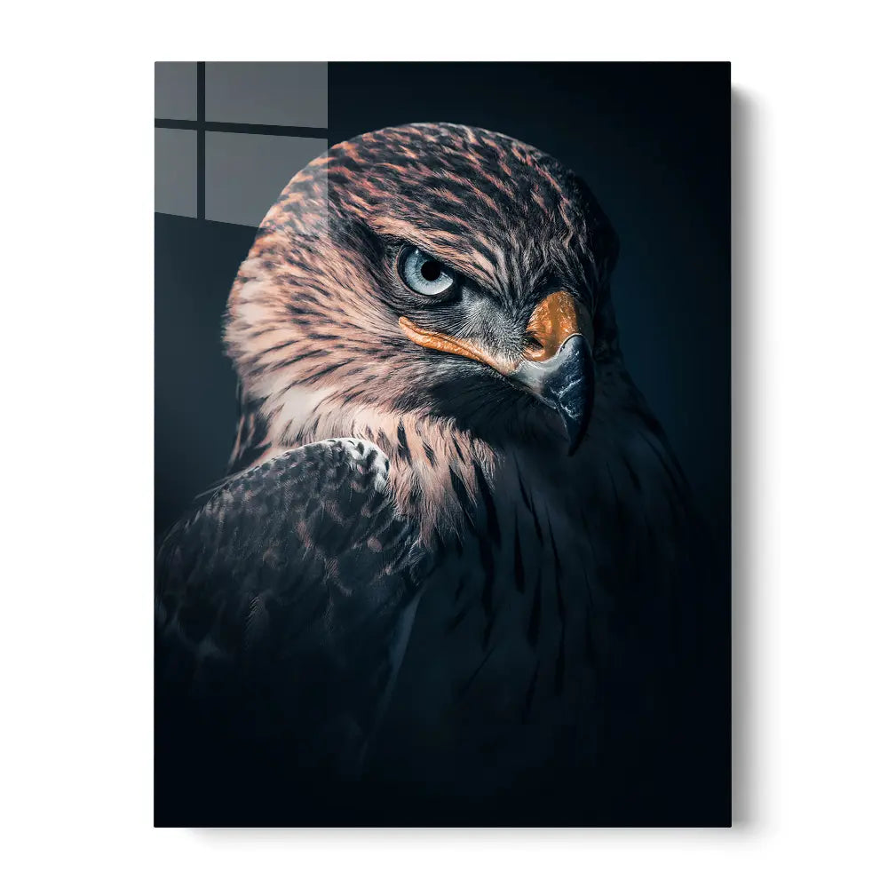 Hawk Vision