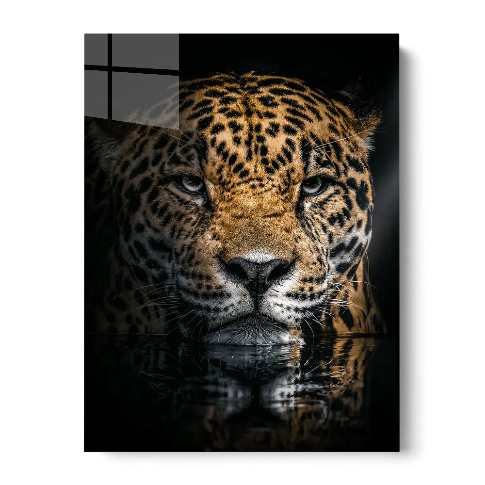 Jaguar Reflection