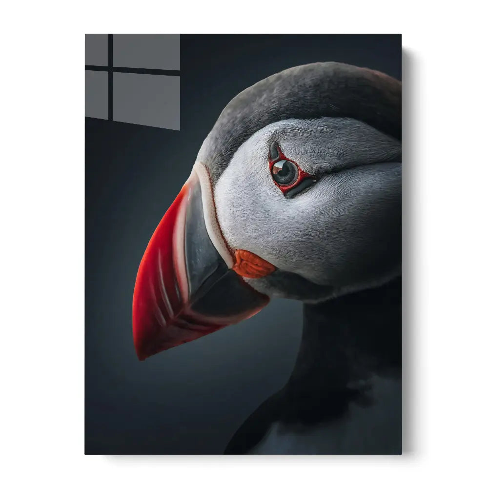 Moody Atlantic Puffin